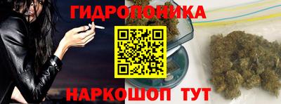 a pvp Бийск