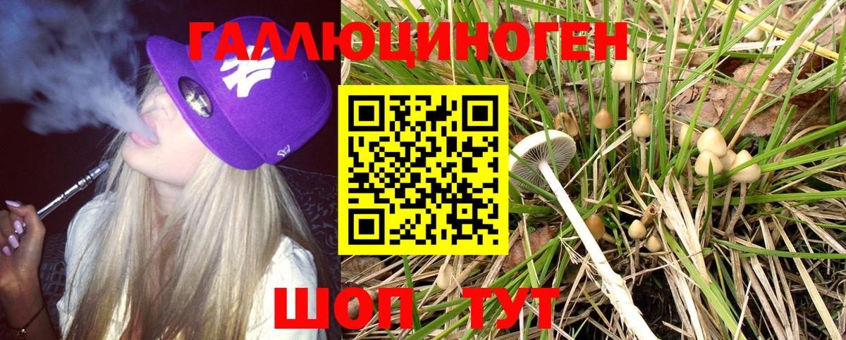 Галлюциногенные грибы Psilocybe Богородск