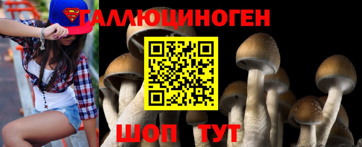 Псилоцибиновые грибы Psilocybe  Вход с VPN  Богородск 